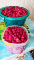 Лот: 23337932. Фото: 2. Малина свежая ягода. Продукты