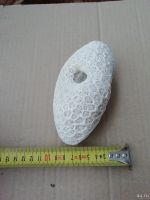 Лот: 14086904. Фото: 4. Натуральный коралл. Красноярск