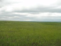 Лот: 16685879. Фото: 2. 10 соток. Продажа
