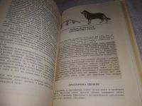 Лот: 21423189. Фото: 5. (1092372) Псалмов, М.Г. Книга...