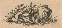 Лот: 14794020. Фото: 15. Уильям Фолкнер - Рассказы. Медведь...