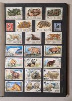 Лот: 20984512. Фото: 4. Большой альбом с марками 20 страниц...