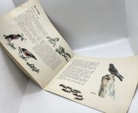 Лот: 25268877. Фото: 14. 📘 Виталий Бианки. Наши птицы...