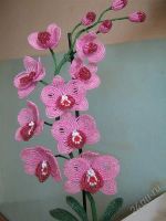 Лот: 1061545. Фото: 3. орхидея "моя лапуська". Сувениры, подарки
