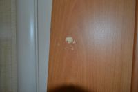 Лот: 3982148. Фото: 2. Дверь ламинированная "вьюн" миланский... Двери, окна, фурнитура