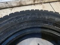 Лот: 16859388. Фото: 6. Шины зимние Tunga 175 70 13 (шины...