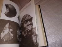 Лот: 9432448. Фото: 9. На заре человеческой истории...