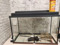 Лот: 25396934. Фото: 2. Аквариум 80*35*50. Аквариумистика