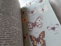 Лот: 18927895. Фото: 5. Зоопарк в твоей книжке в 5 павильонах...