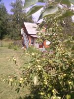 Лот: 5890168. Фото: 3. дача. Недвижимость