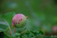 Лот: 13778819. Фото: 4. Фотоаппарат Nikon D5100 и Объектив... Красноярск
