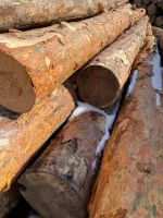 Лот: 16133023. Фото: 6. Столбики на забор (2 метра) Диам...