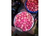 Лот: 10413031. Фото: 3. Яблоки Пепин ароматные, сочные... Красноярск