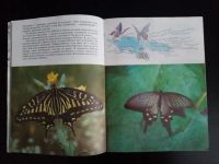 Лот: 24846491. Фото: 7. Синий махаон - книга об удивительных...