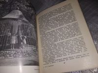 Лот: 16205443. Фото: 5. Ардикуца В.Е., Петродворец. Путеводитель...