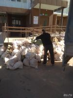 Лот: 13546539. Фото: 9. Вывоз Мусора т.215-52-66 Вывоз...