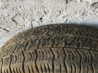 Лот: 12699329. Фото: 2. И-391 175/70 r13. Шины, Диски