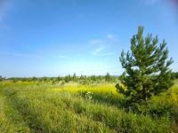 Лот: 25552852. Фото: 4. участок , садоводческое некоммерческое... Красноярск