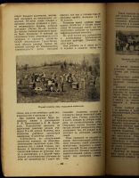 Лот: 12876420. Фото: 3. Пчеловодство. Ежемесячный журнал... Литература, книги