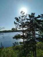 Лот: 25396592. Фото: 12. участок , ДНТ Лётчик ДНТ Лётчик...