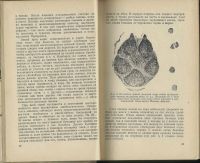 Лот: 15205114. Фото: 3. Формозов А. Спутник следопыта... Литература, книги