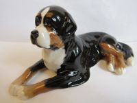 Лот: 17174459. Фото: 8. бернская овчарка зенненхунд собака...