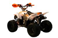 Лот: 25659166. Фото: 6. Квадроцикл RACER RC 110 Coyote