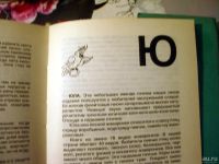 Лот: 8654506. Фото: 7. Книга " Домашние животные" (2...