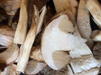 Лот: 14568999. Фото: 2. Подберезовик свежий ,доставка. Продукты
