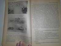 Лот: 24399900. Фото: 3. Научитесь мыслить и рисовать как... Литература, книги