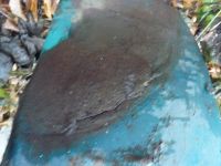 Лот: 6556764. Фото: 6. Крылья ГАЗ-69 первых выпусков