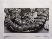 Лот: 19252032. Фото: 2. Лазерный принтер HP LaserJet 2015. Принтеры, сканеры, МФУ