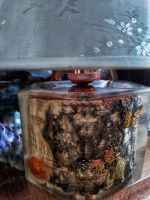 Лот: 18066669. Фото: 3. Торшер 🦋🦋🦋💡💡💡 ручная работа. Строительство и ремонт