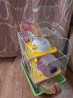 Лот: 25226953. Фото: 4. Клетка для мелких грызунов с трубой... Красноярск