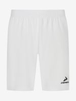 Лот: 25900233. Фото: 10. Шорты мужские Demix, Белый