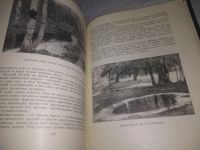 Лот: 21276304. Фото: 8. ок...(2092310) Липеровская С...