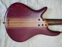 Лот: 19077561. Фото: 2. Мастеровой Kyznetsov 5 string... Музыкальные инструменты