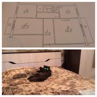 Лот: 6119577. Фото: 4. 3-комнатная на Светлогорской 37. Красноярск