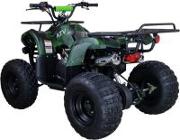 Лот: 21547201. Фото: 7. Квадроцикл RAPTOR ATV 200U PREMIUM...