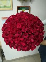 Лот: 10354571. Фото: 2. Акция ! ! ! 101 роза / Эквадор... Цветы, букеты