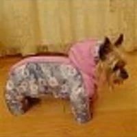 Лот: 12229538. Фото: 5. Комбинезон для собак, LUCKY DOG
