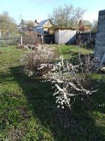 Лот: 13566570. Фото: 5. Дачный участок