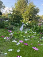 Лот: 25716446. Фото: 3. 2-комн. дача , садоводческое некоммерческое... Недвижимость