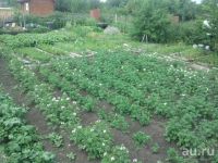 Лот: 10035070. Фото: 2. Земельный участок 10 соток Солнечный... Продажа