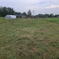 Лот: 25516621. Фото: 2. участок , СНТ Черемшанка 5-я Совхозная... Продажа