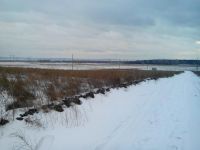 Лот: 4992133. Фото: 3. ДНТ "Золотая корона-2" в д.Ермолаево. Недвижимость