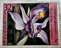 Лот: 12954833. Фото: 4. Марки Флора. Болгария. Цветы...