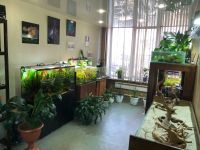 Лот: 25885488. Фото: 6. Продается студия аквариумного...