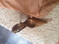 Лот: 4223240. Фото: 5. Платье вечернее