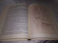 Лот: 5110332. Фото: 7. Теплый дом, 2 тома, В двухтомник...